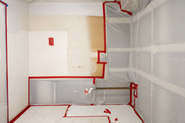 Best Black Mold Removal  in Lebanon, NH