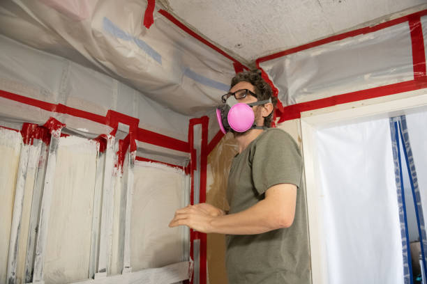Best Post-Construction Mold Inspection  in Lebanon, NH