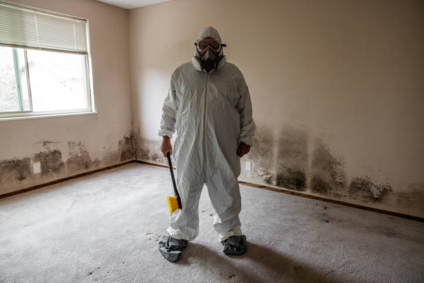 Mold Odor Removal Services in Lebanon, NH